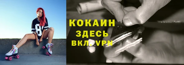 крисы Дмитровск