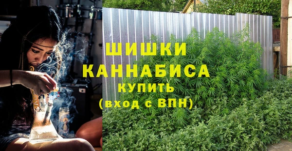 гашик Заволжье