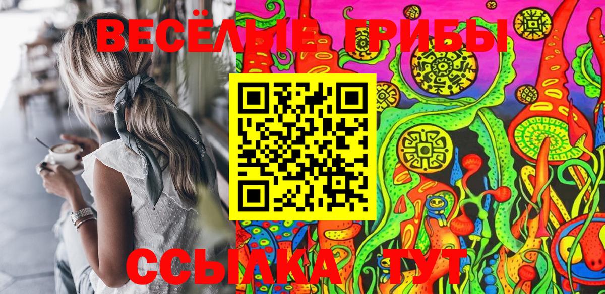 Псилоцибиновые грибы Psilocybe  Вход с VPN  Краснокамск 